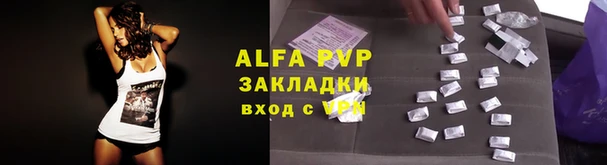 дмт Богданович