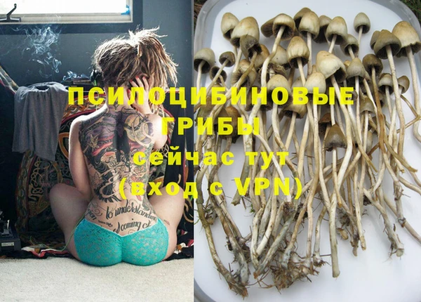 мет Белокуриха