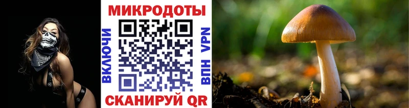 Галлюциногенные грибы мухоморы Верхний Тагил